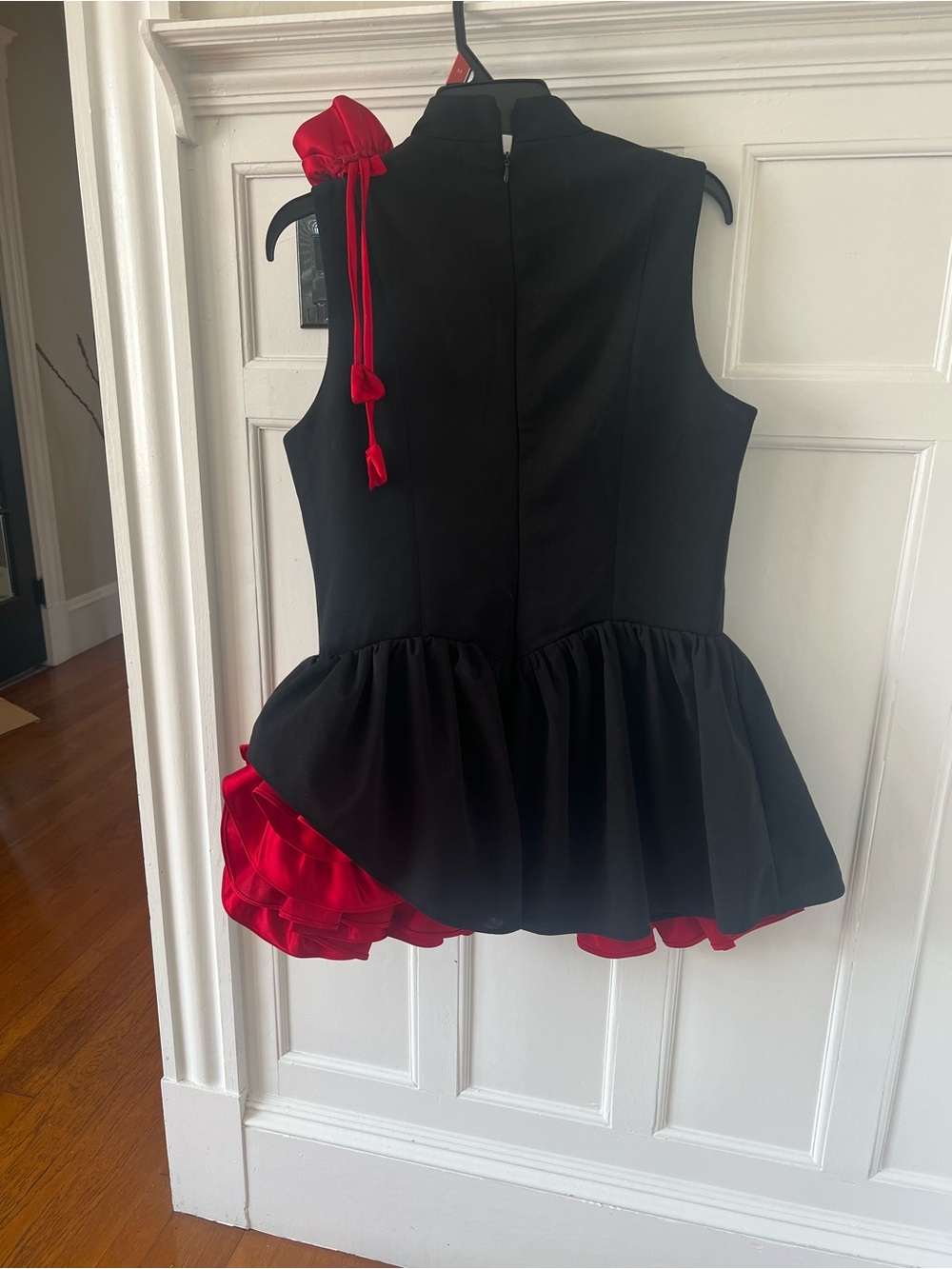 Fashion Nova Black & Red Ruffle Mini Dress - Picture 6 of 6